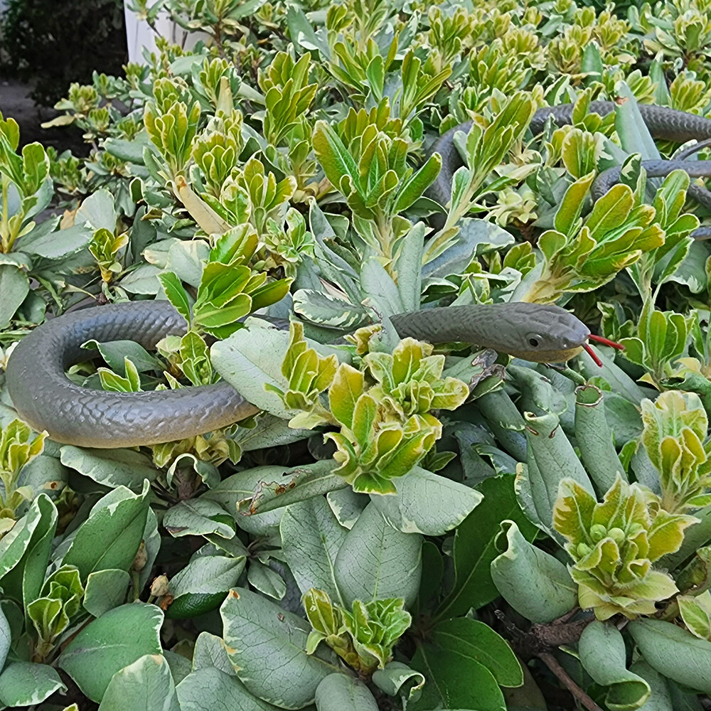47″ Realistic Fake Rubber Snake Halloween Prank Party Props Haunted Houses Decor
