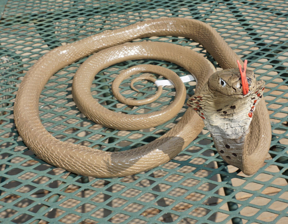 Cobra Rubber Snake Replica – AAA – Choice of 8 Varieties