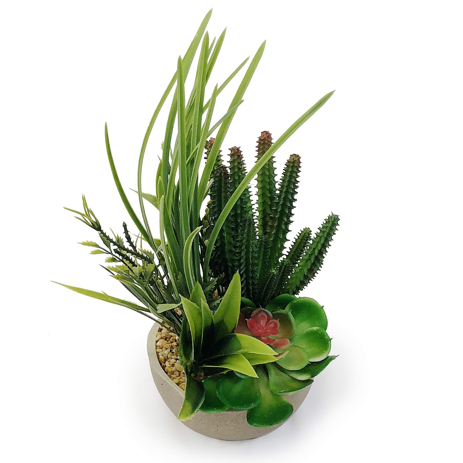 allgala Small Desktop 10 inches height x 5 diameter, Combo Redtip