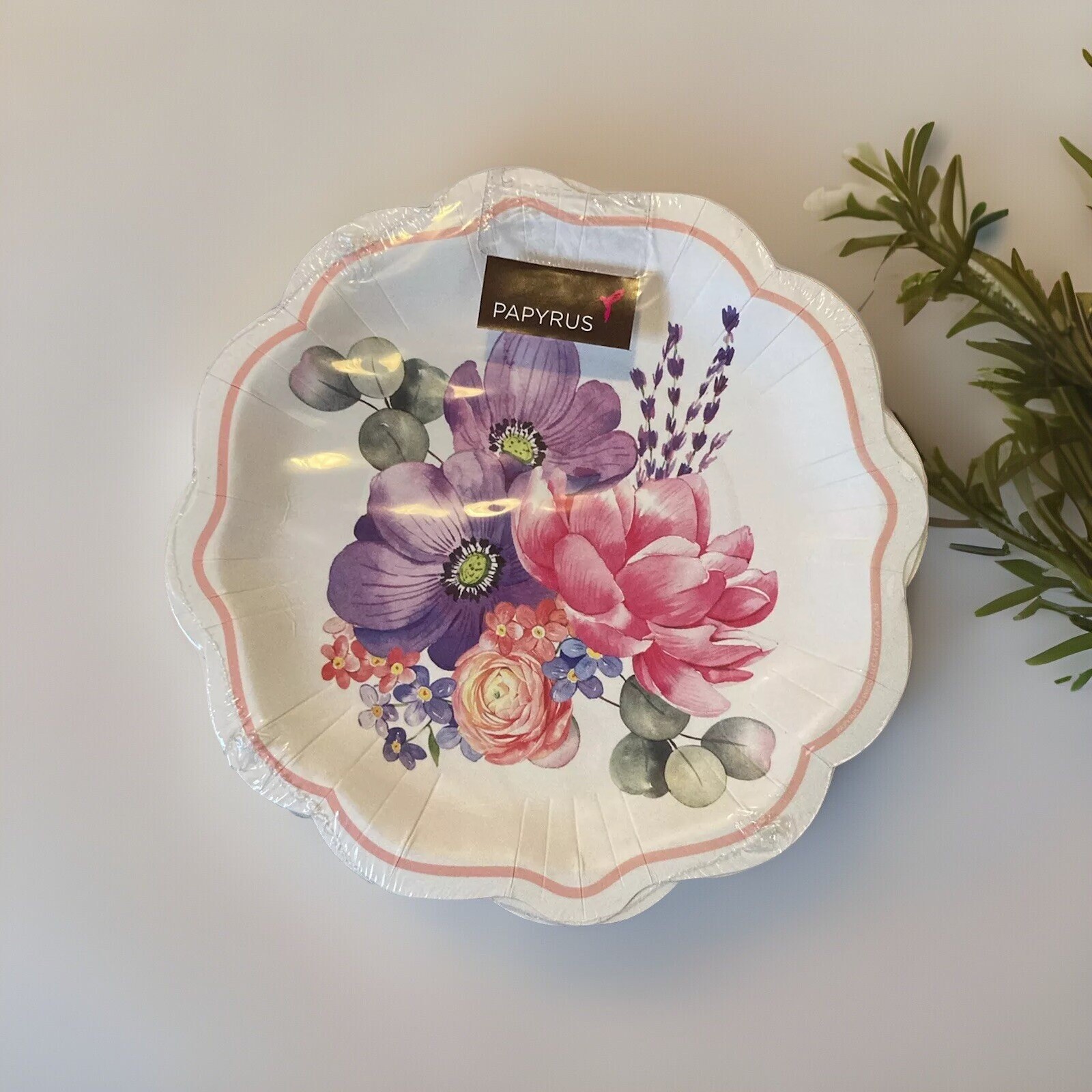 Papyrus All Occasion 8 Dessert Plates, Plastic Coated, 8 in.