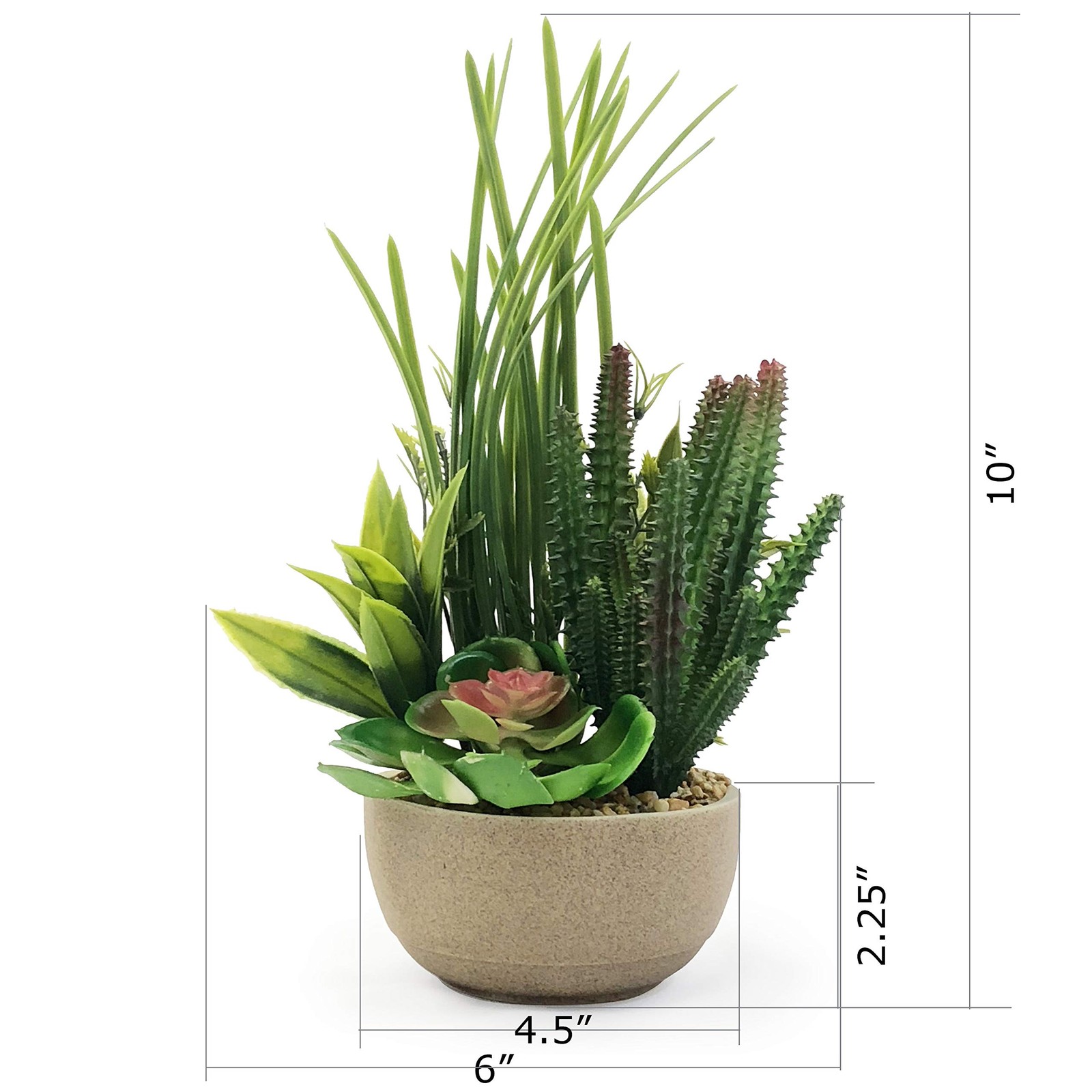 allgala Small Desktop 10 inches height x 5 diameter, Combo Redtip