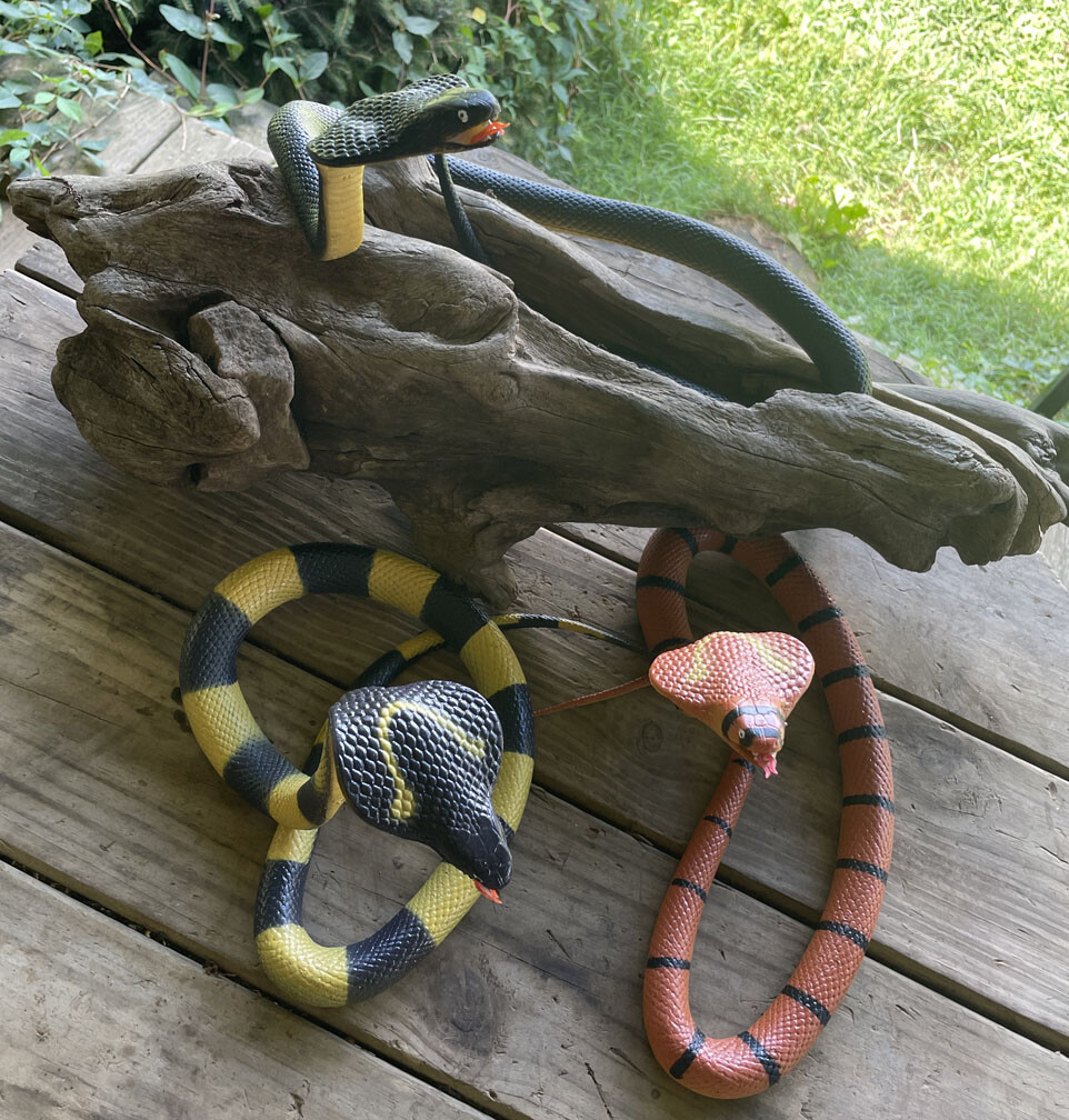 40″ Cobra Rubber Snake Replica – Choice of 3 Varieties