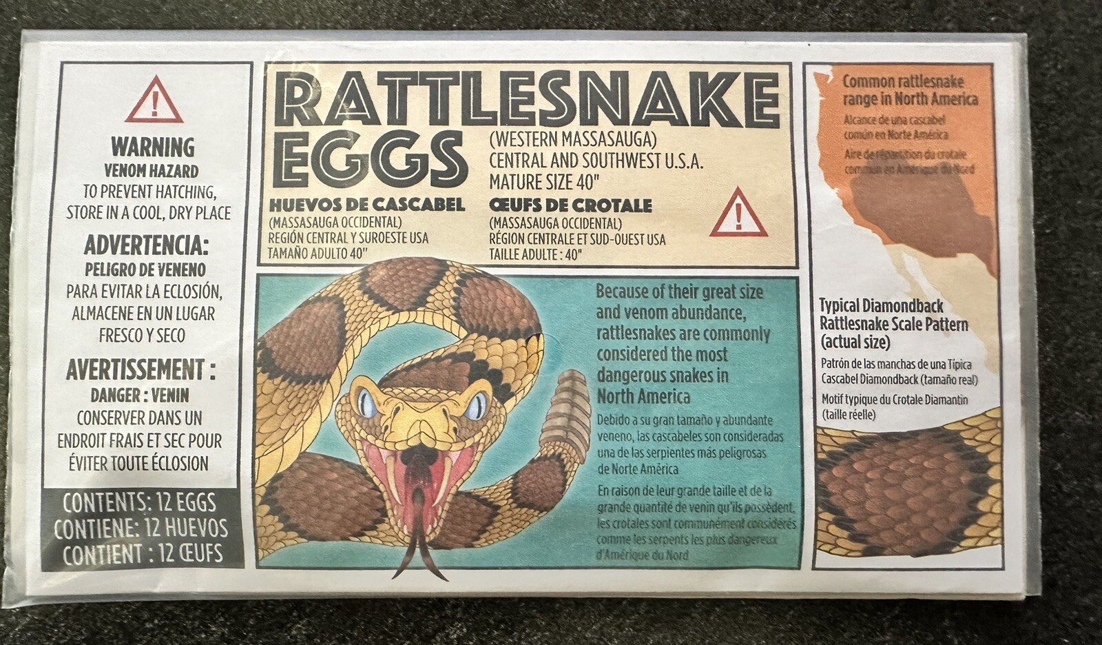 (5) Rattlesnake Egg Envelopes – Classic Gag Prank Joke Toy Noise Maker FUNNY!