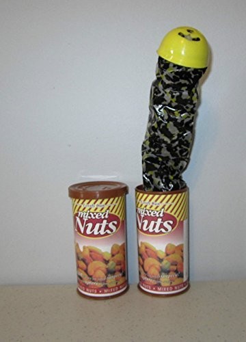 Rhode Island Novelty Snake in A NUT CAN 4 inches tall, 2 diameter