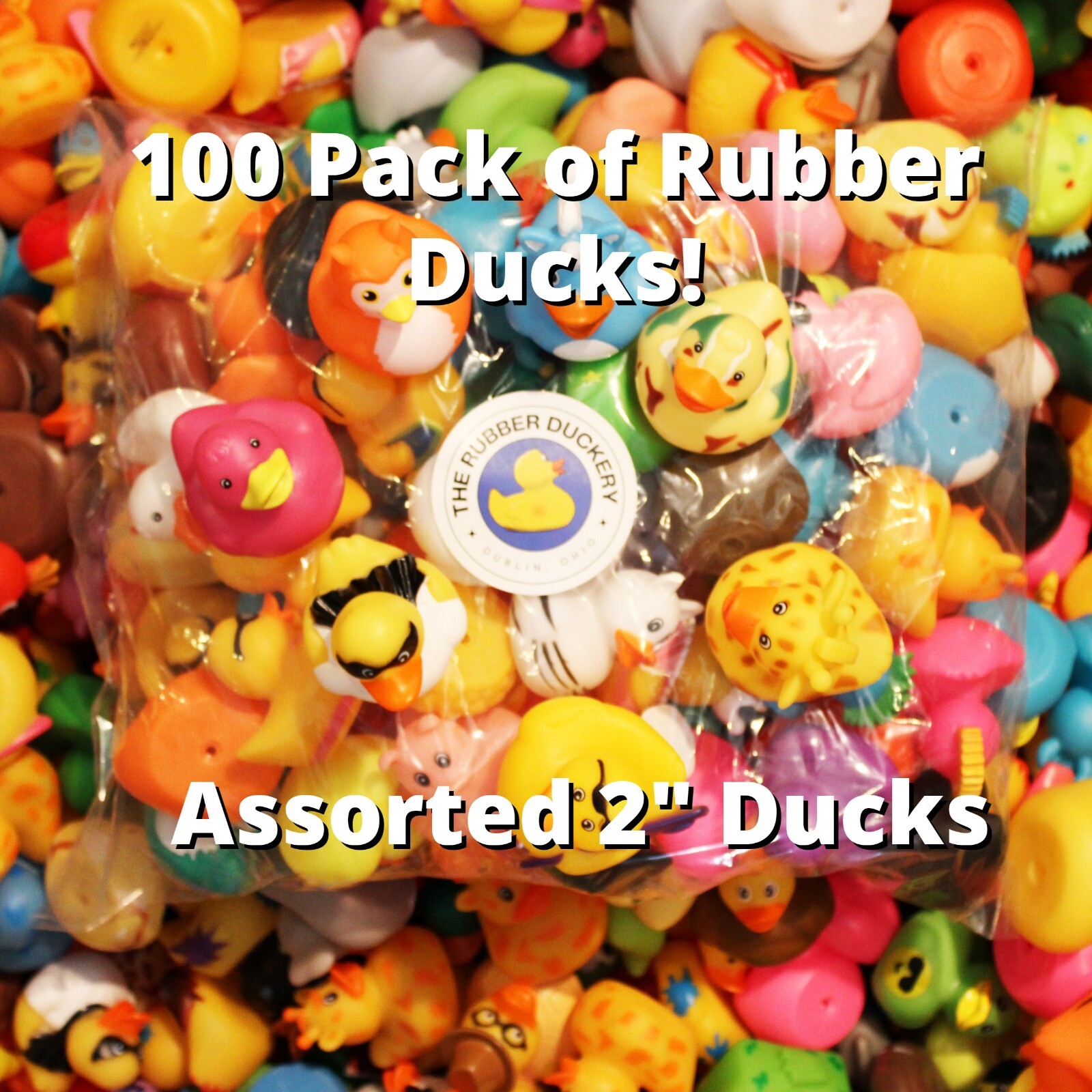 100 Assorted Rubber Ducks from The Rubber Duckery | Perfect for Duck Duck Jeep
