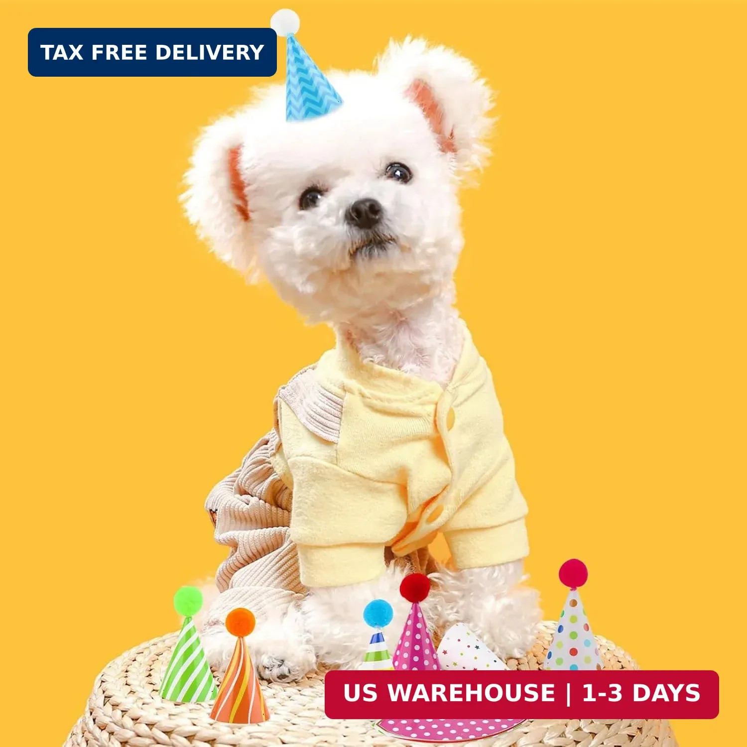 10 PCS Colorful Mini Party Hats for Stuffed Animals Lovely Paper Cone Tiny Birth
