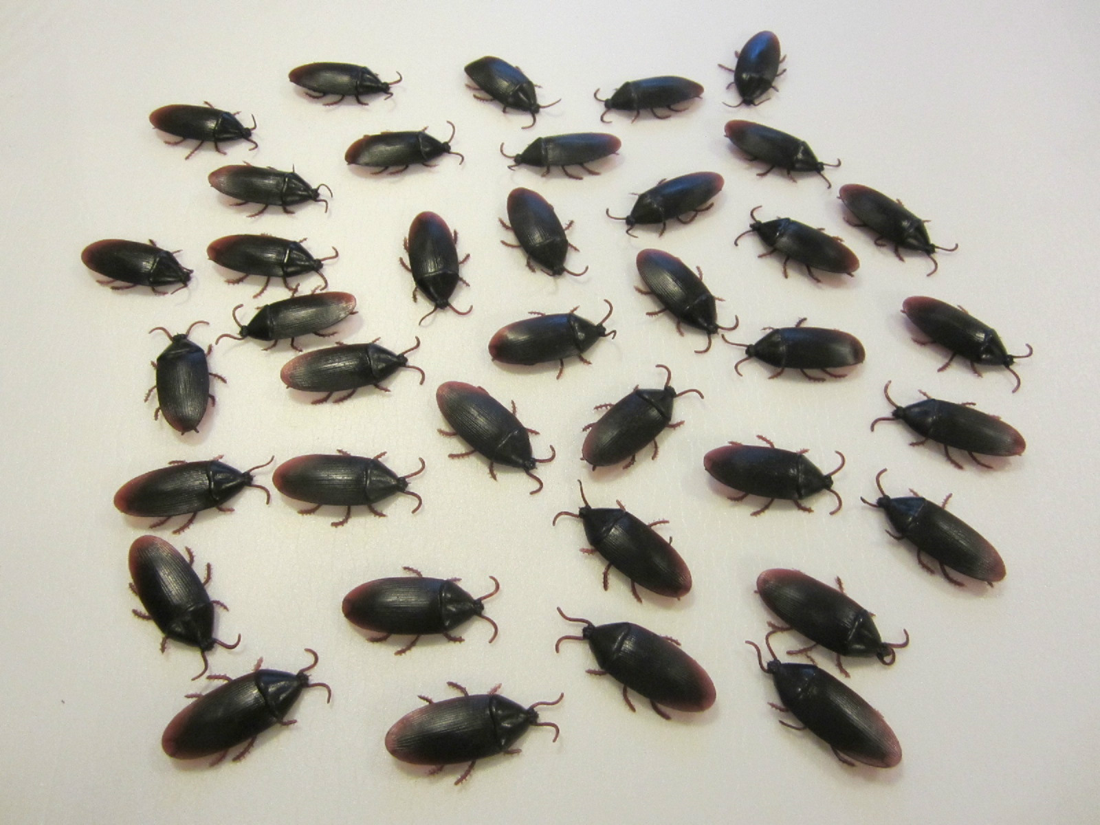 75 REALISTIC FAKE COCKROACHES LARGE CREEPY COCK ROACH BUGS PRANK GAG GIFT