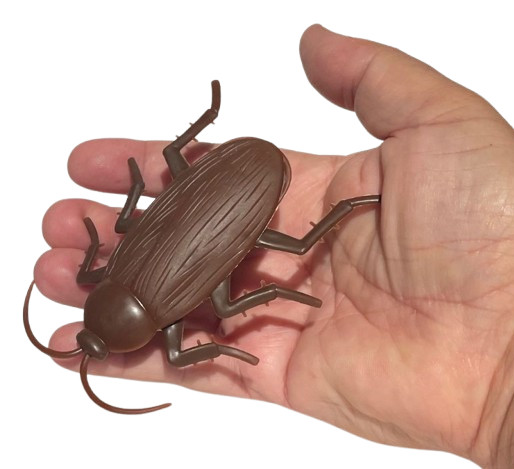 Funny WALKING COCKROACH Jumbo Roach Sticks & Crawls Down Wall Prank Joke Toy Bug