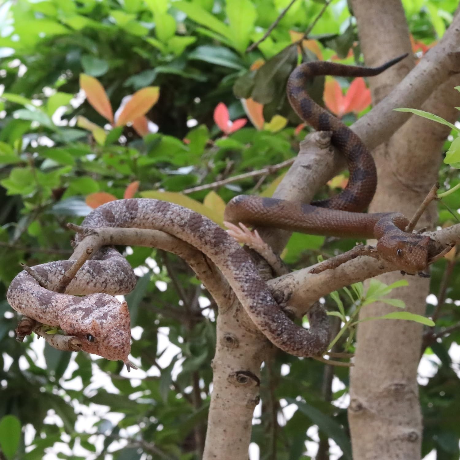 2pcs Realistic Fake Snake Toys Rubber Rattlesnake Garden Scare Decor