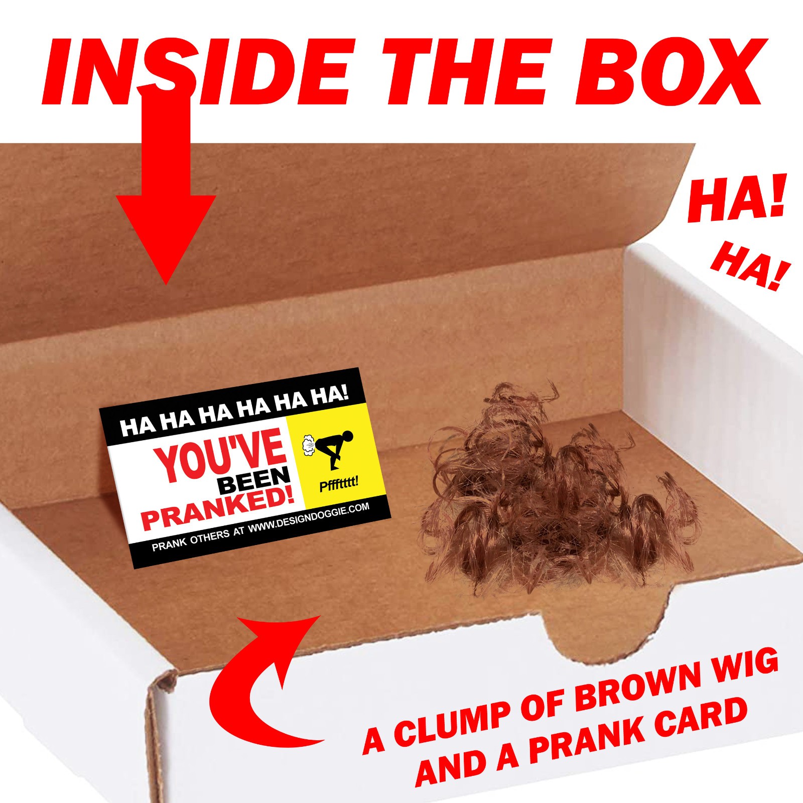 Prank Sas Crotch Mail Gag Sent Directly to your Friends to Embarrass Them!