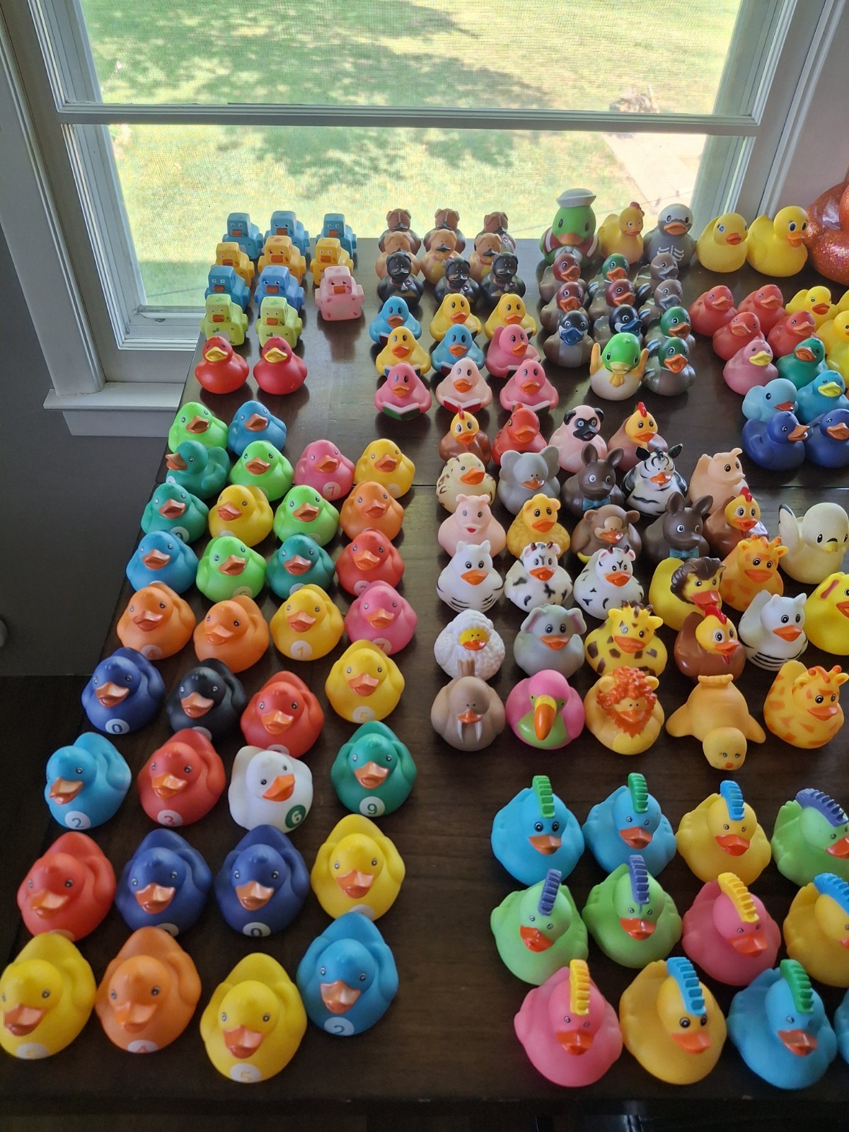 Large Collection (300) of assorted Rubber Ducks for Jeep “Ducking”/Party Favors