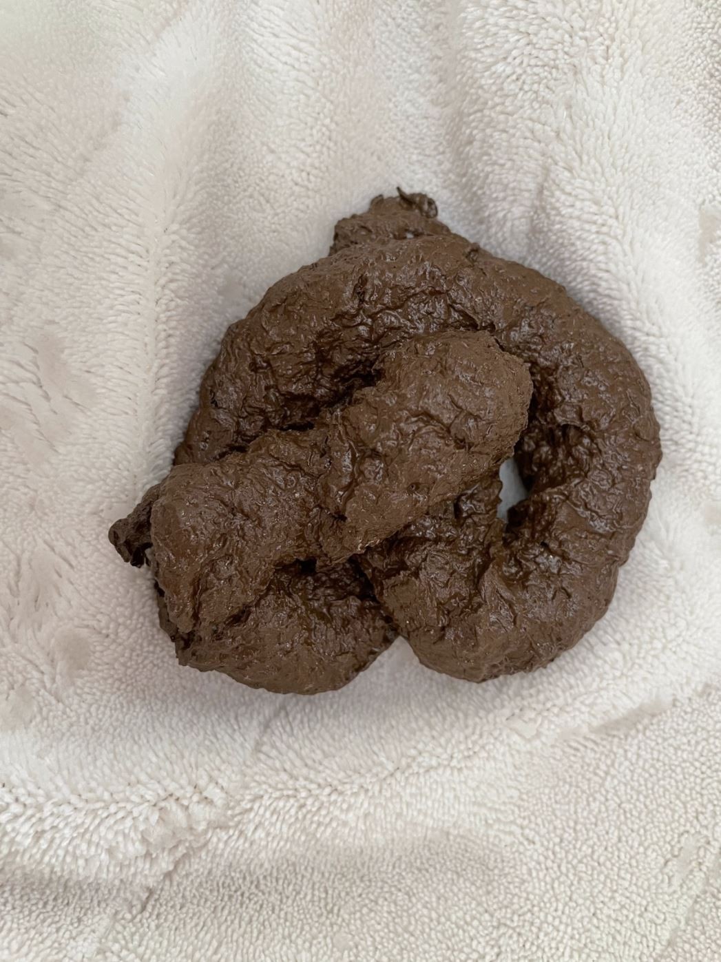 PREMIUM Fake Dog Poop Doggie Poo Realistic Doggy Doo Doo Dirt Joke Gag Crap Pile