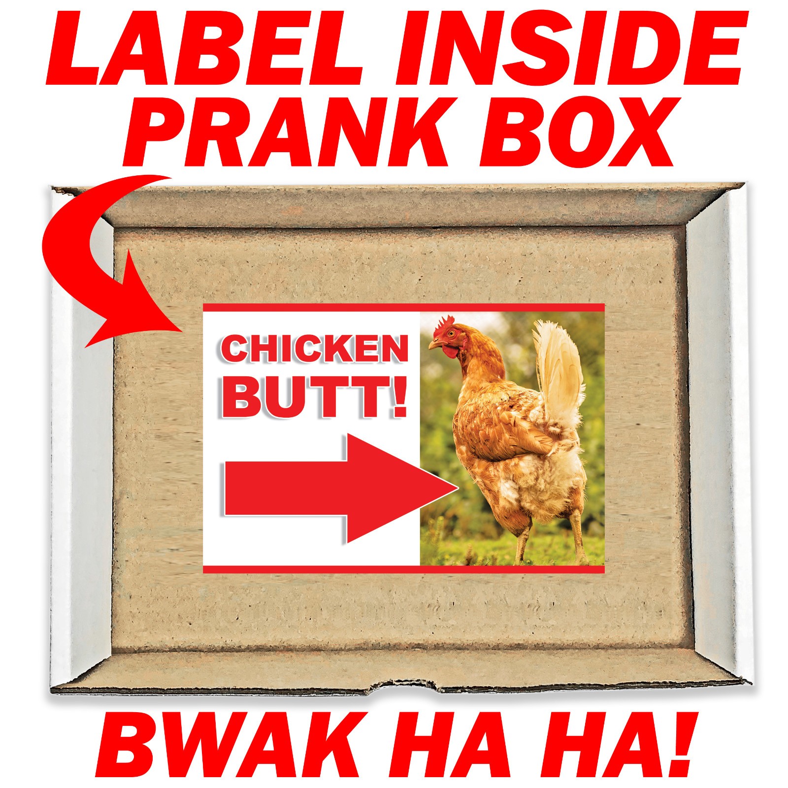 Guess What? Chicken Butt! Prank Mail Sent Anonymously!