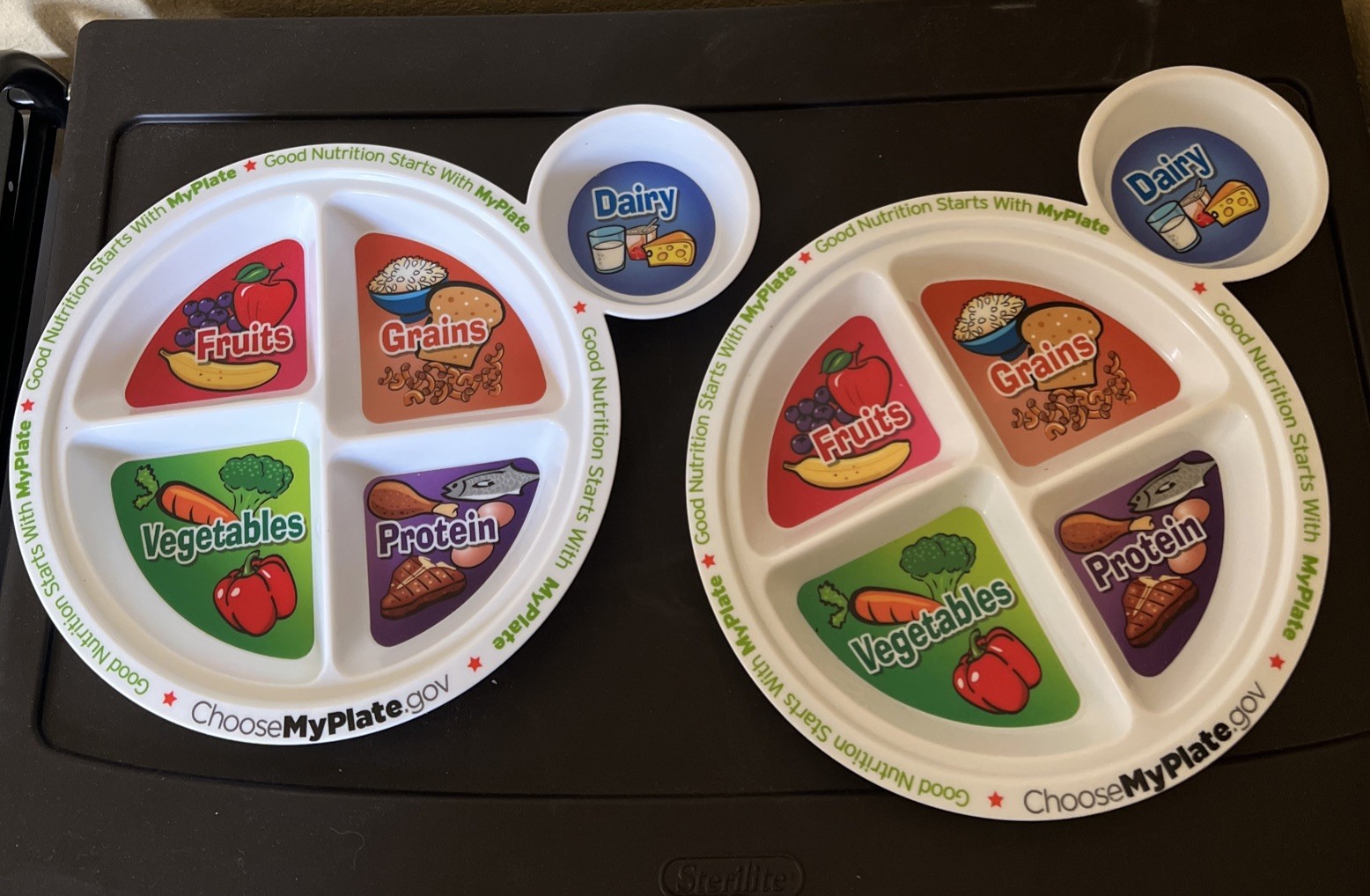 MyPlate Good Nutrition Divided Plastic Plates (Lot of 2)