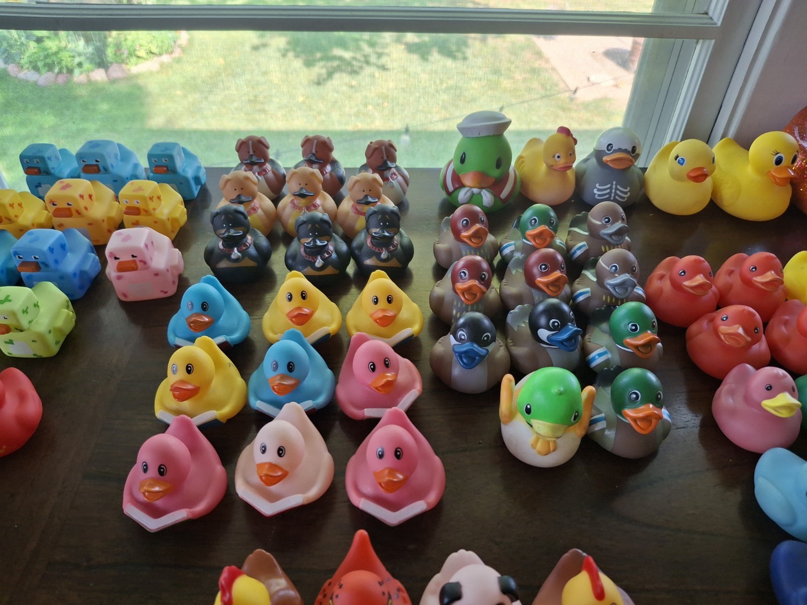 Large Collection (300) of assorted Rubber Ducks for Jeep “Ducking”/Party Favors
