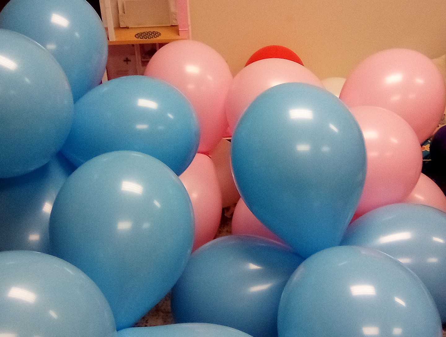 Qualatex Pink & Blue 16″(50) Great 4 Decorating 2nd’s some have Slight Color Run
