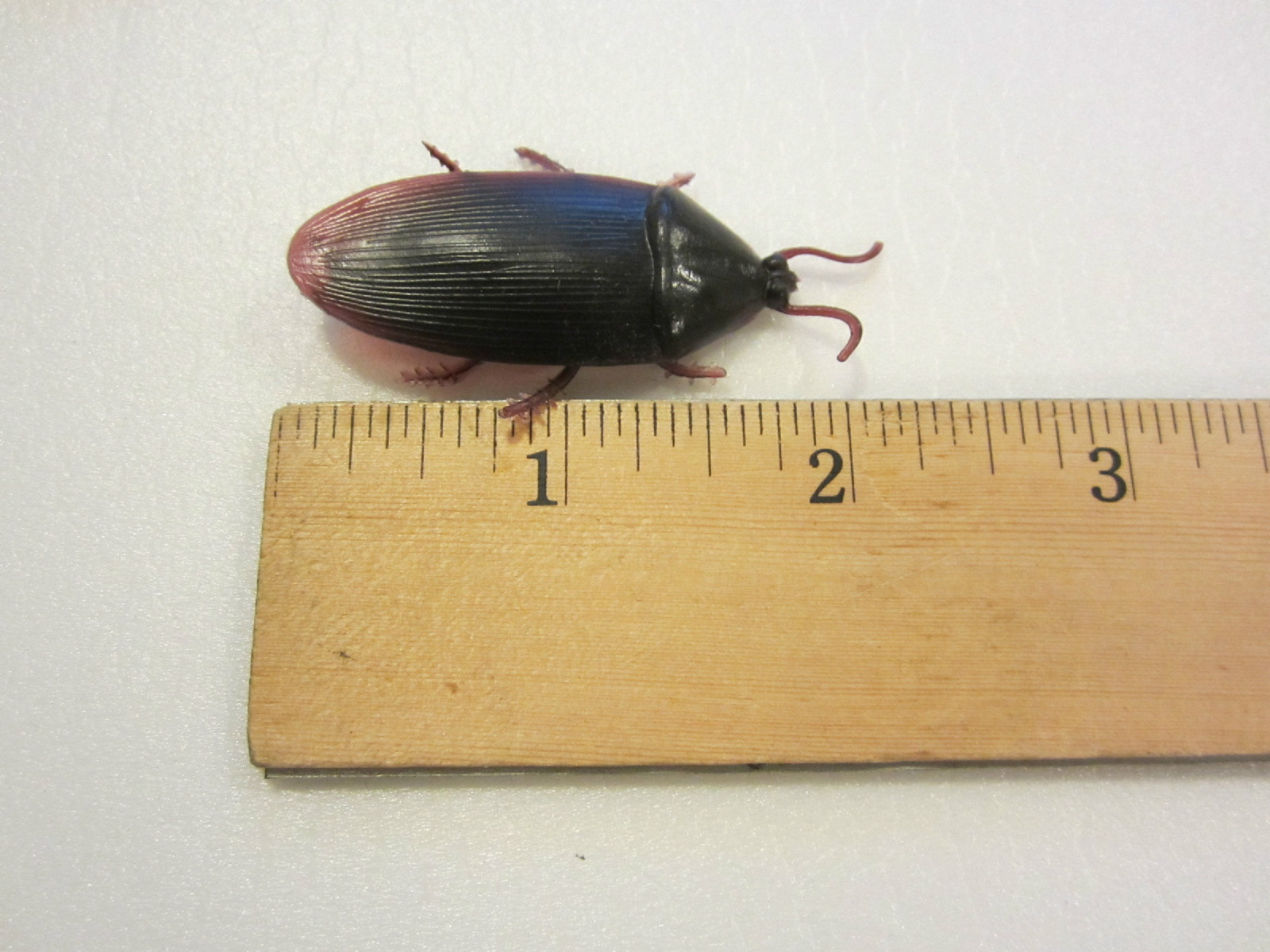 75 REALISTIC FAKE COCKROACHES LARGE CREEPY COCK ROACH BUGS PRANK GAG GIFT