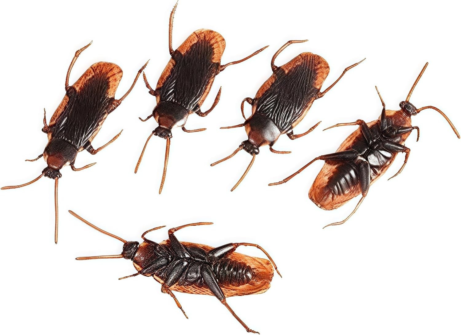 5-Pack Realistic Cockroaches – Ideal for Halloween Parties and Creative Pranks