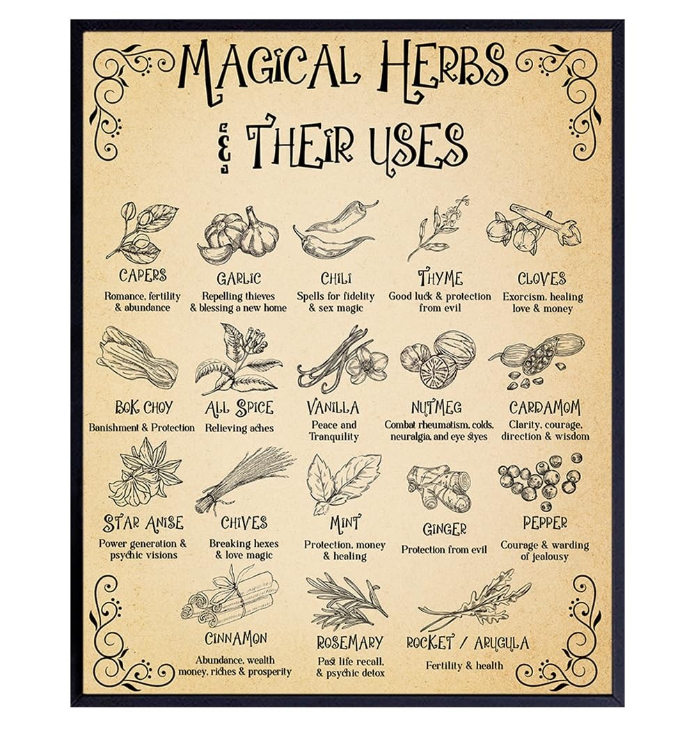 YELLOWBIRD ART & DESIGN Witchcraft Herb Kitchen Wall Art & Decor – Black magic H