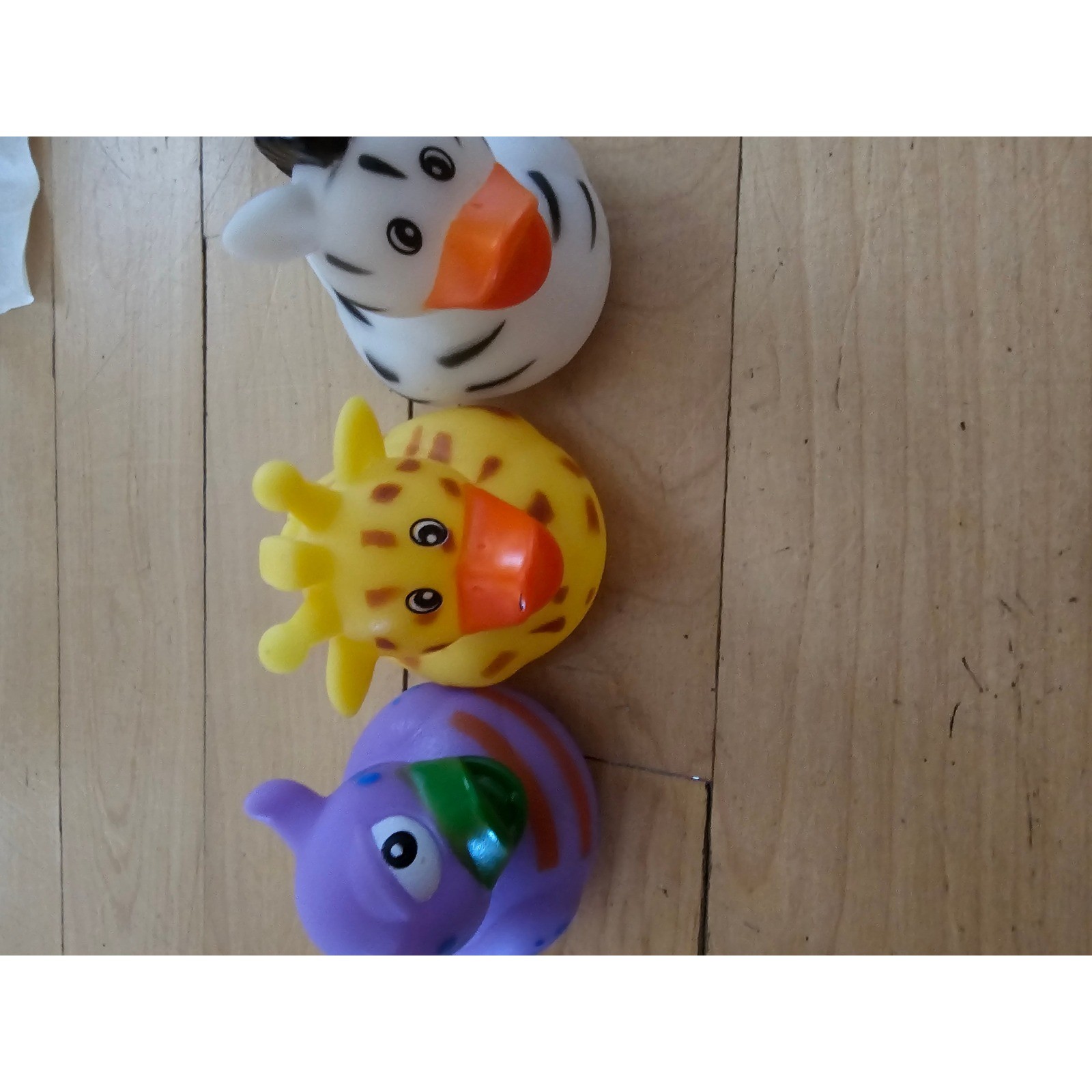 Jeep Ducking Kit Assorted Rubber Ducks with Youve Been Ducked Tags and Bands