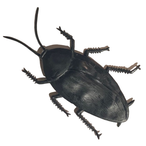 JUMBO COCKROACH 6″ Giant Rubber Fake Bug Prank Joke Gag Funny Roach Halloween