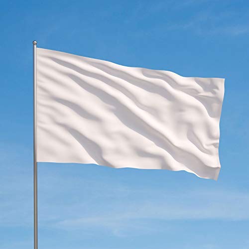 6 Pieces 3×5 Ft Solid Plain/Multicolor Flags 250th Anniversary 3×5 Ft White