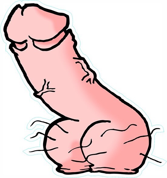 Shaped Vinyl Penis Stickers laptop wall hen doo LGBT adult humour cock willy fun