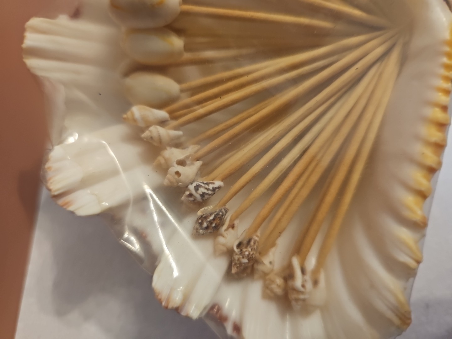 Natural Shell Toothpicks Canapé Fruit Skewer Appetizer Sticks Serving Tool Beach