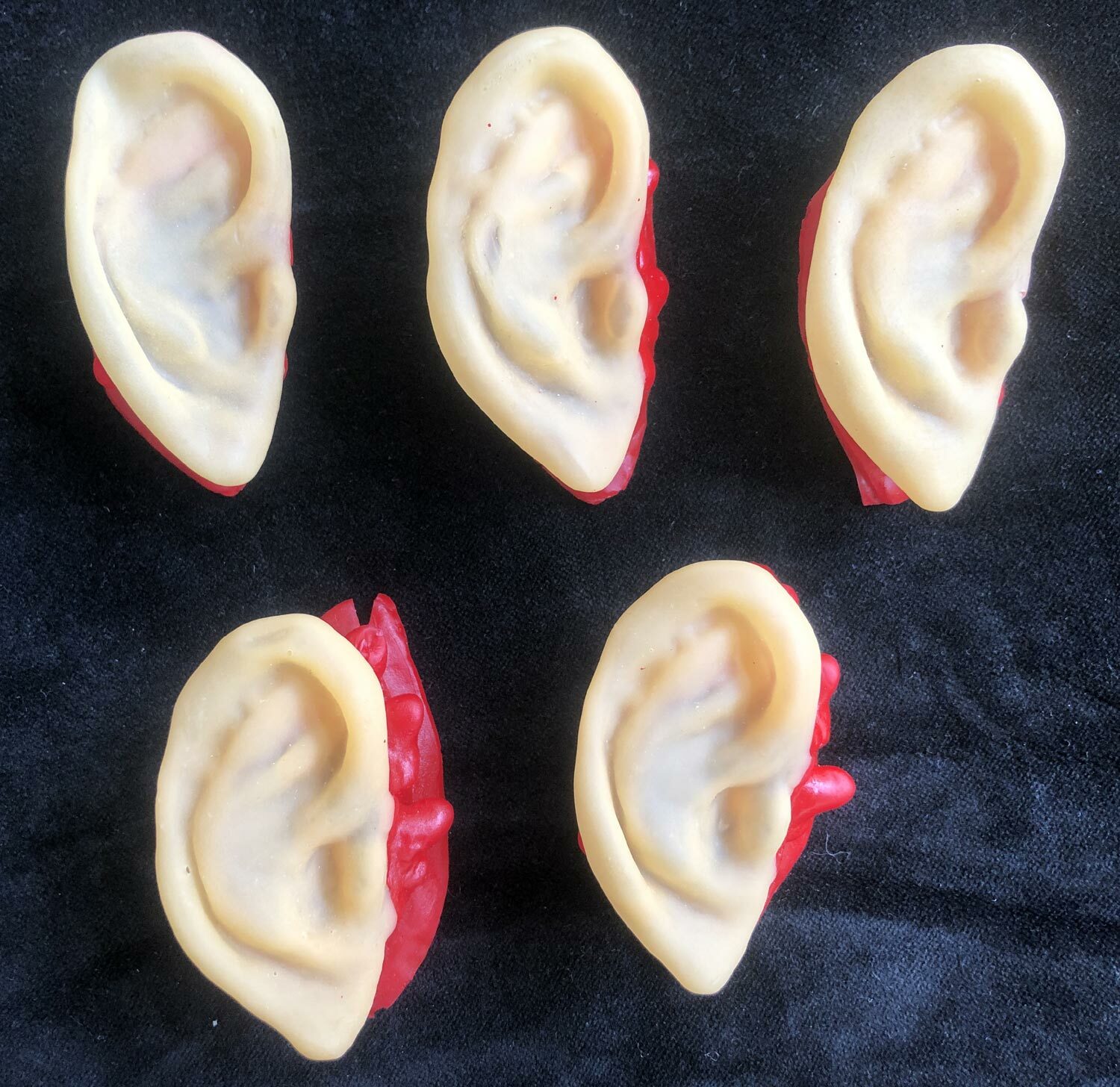5pc Bloody Body Part Fake HUMAN SEVERED EARS Zombie Hunter Halloween Horror Prop