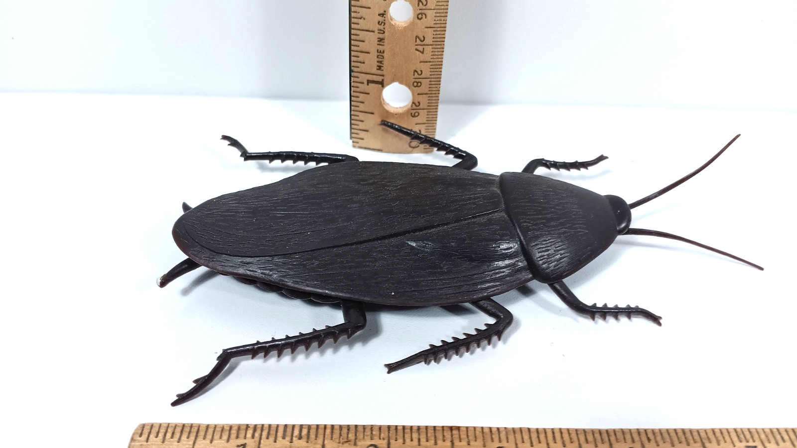 JUMBO COCKROACH 6″ Giant Rubber Fake Bug Prank Joke Gag Funny Roach Halloween