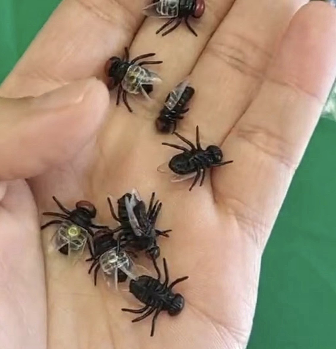 100pcs Plastic Flies Joke Novelty Toys