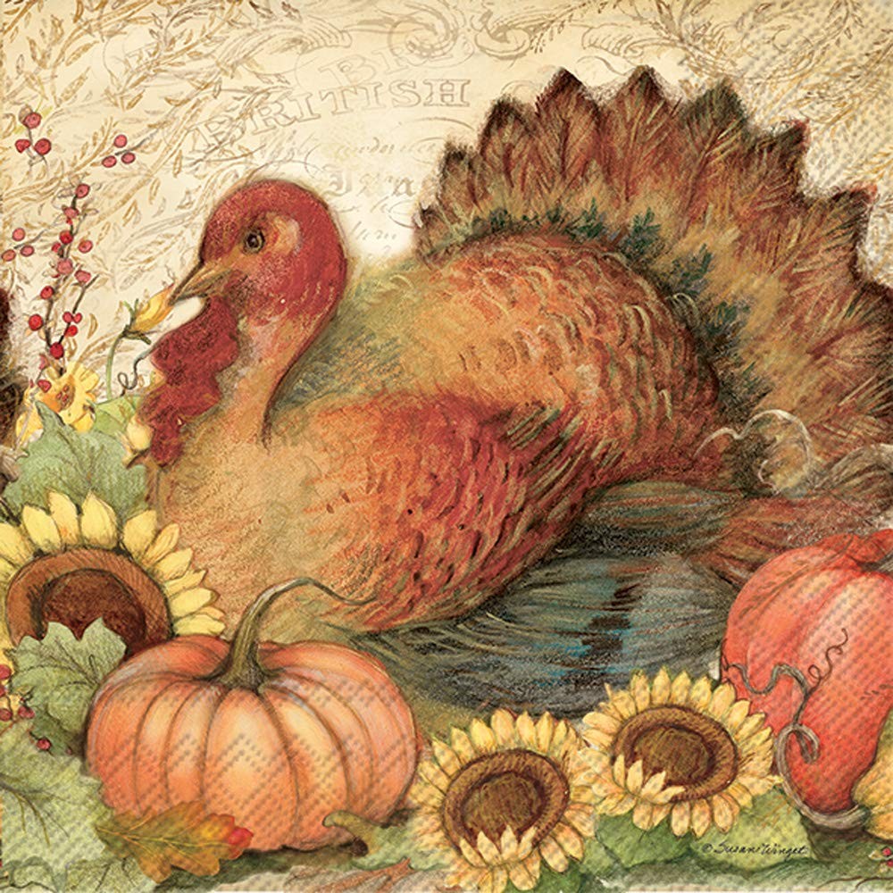 Boston International IHR Lunch Paper Napkins, 6.5 x 6.5-Inches, Filigree Turkey