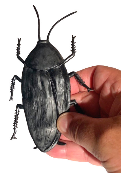 JUMBO COCKROACH 6″ Giant Rubber Fake Bug Prank Joke Gag Funny Roach Halloween