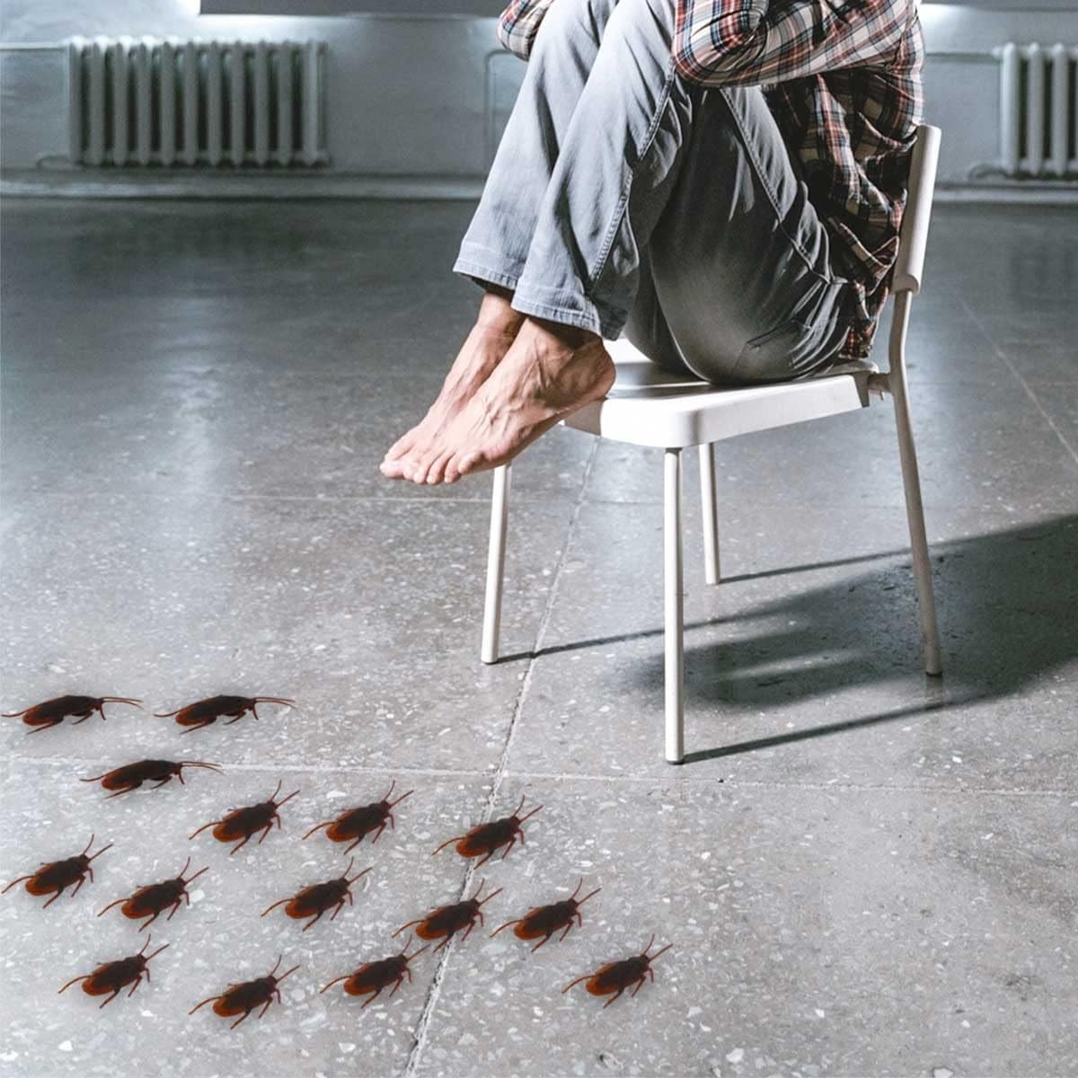15 Realistic Fake Cockroaches for Pranks – Perfect for Halloween and Parties