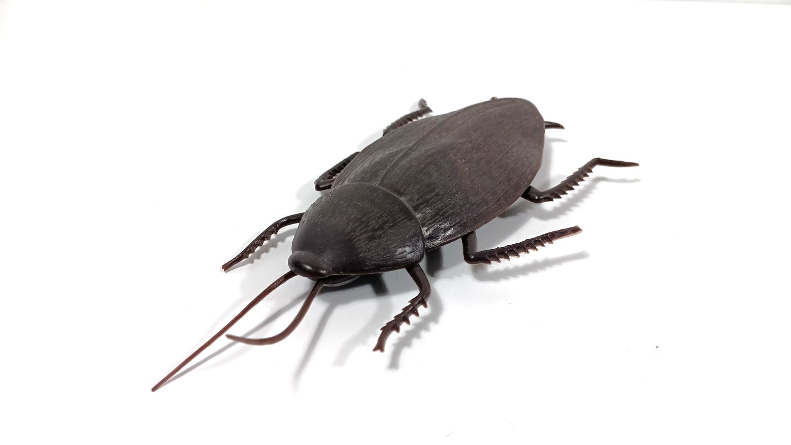 JUMBO COCKROACH 6″ Giant Rubber Fake Bug Prank Joke Gag Funny Roach Halloween