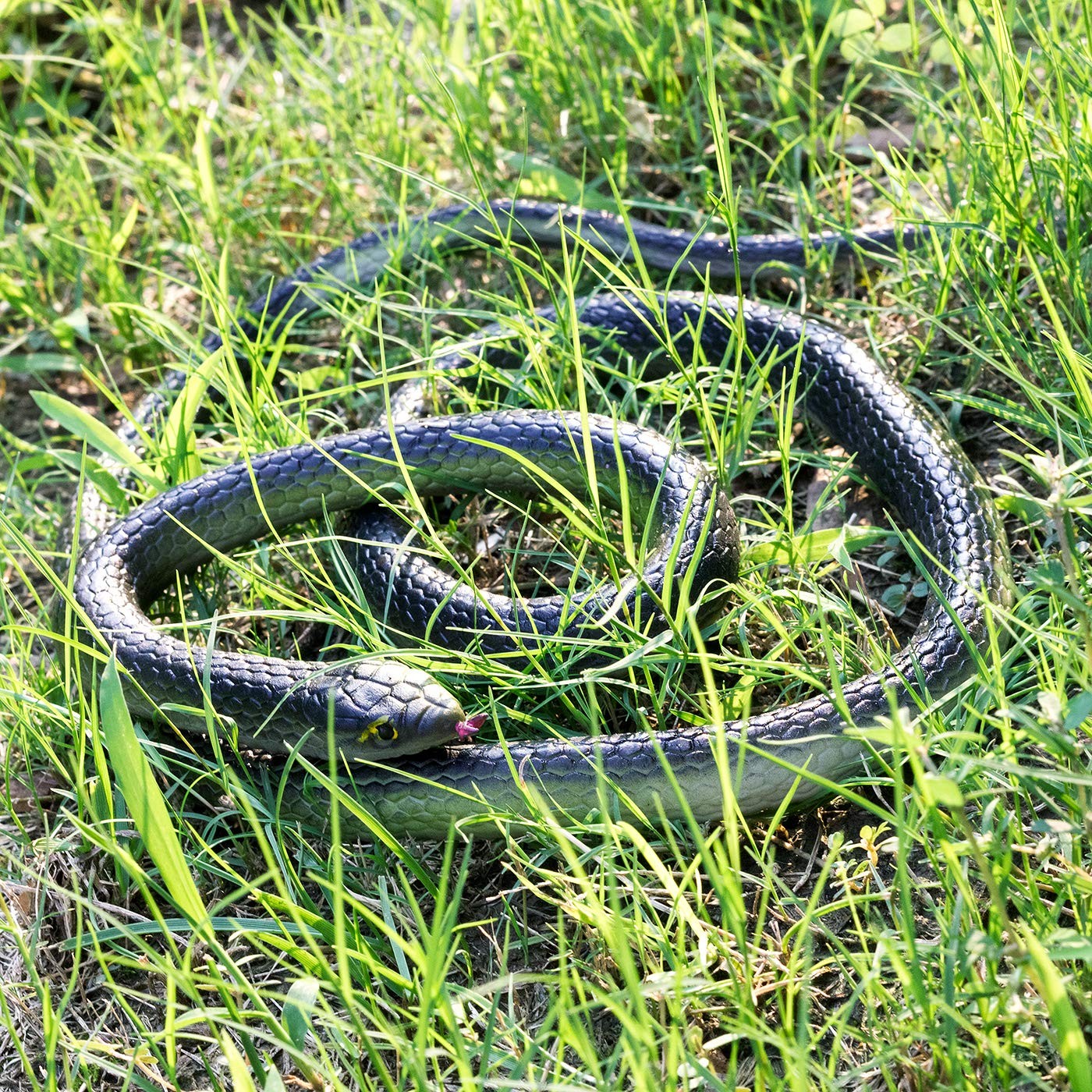 3 Pack Realistic Rubber Snakes for Garden Props Birds Squirrels Mice Scare Toy