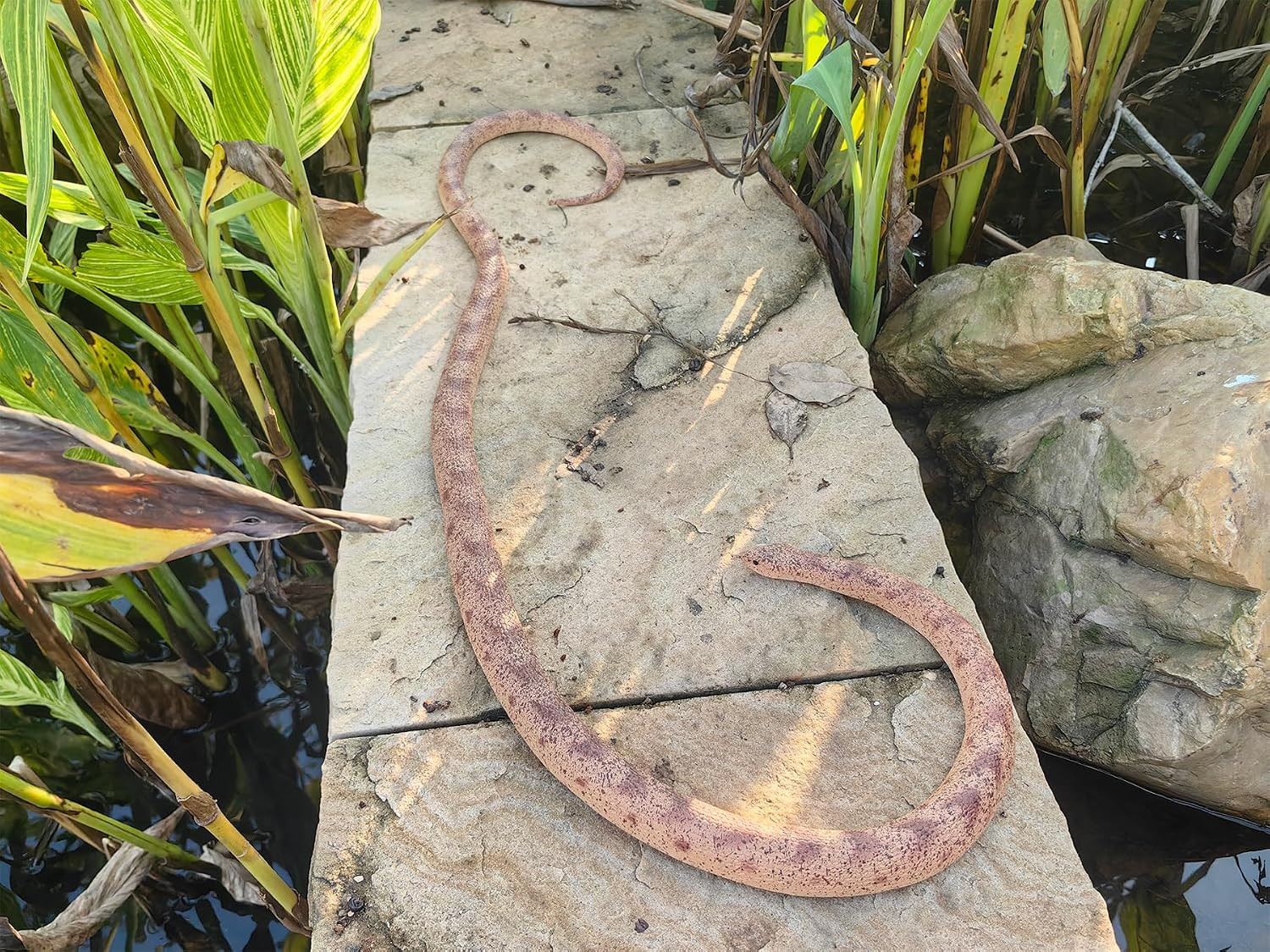 53″ Rubber Snake Realistic Fake Snakes Prank Toy to Keep Birds Away Scare