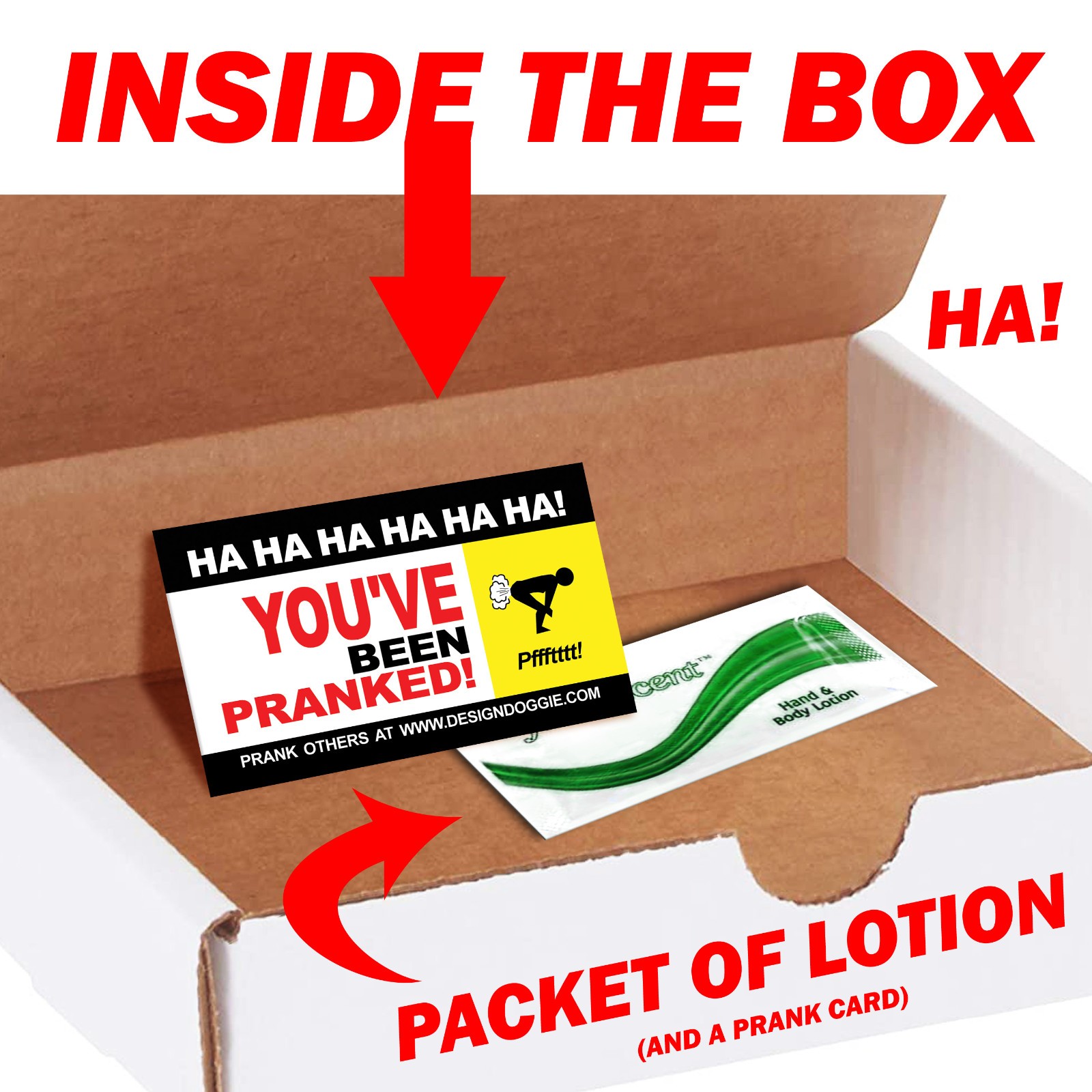 Fart Joke Prank Mail Sent Anonymously for Sheer Laughter!