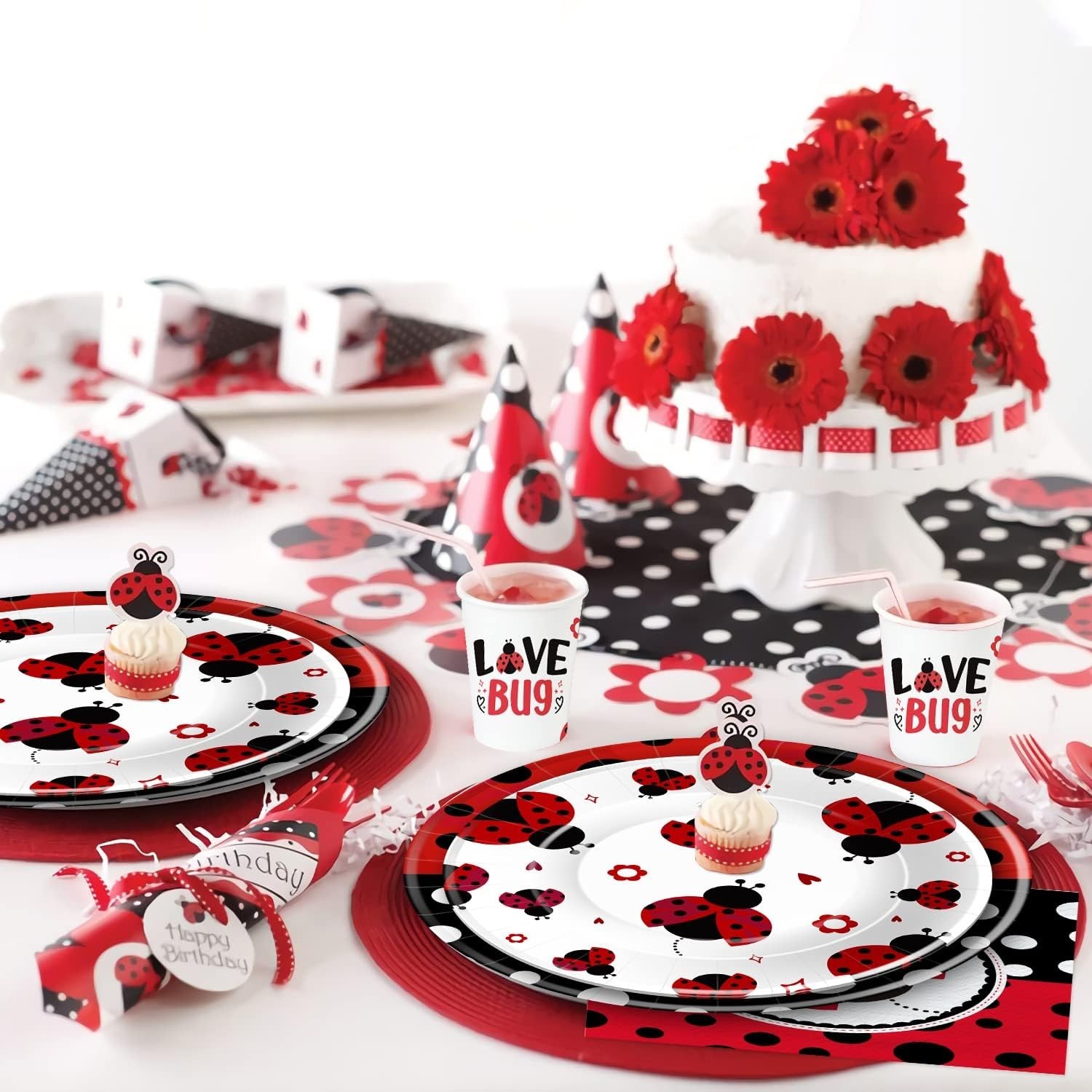 Ladybug Birthday Party Decorations Tableware, Ladybug Party Supplies Girl for Bi