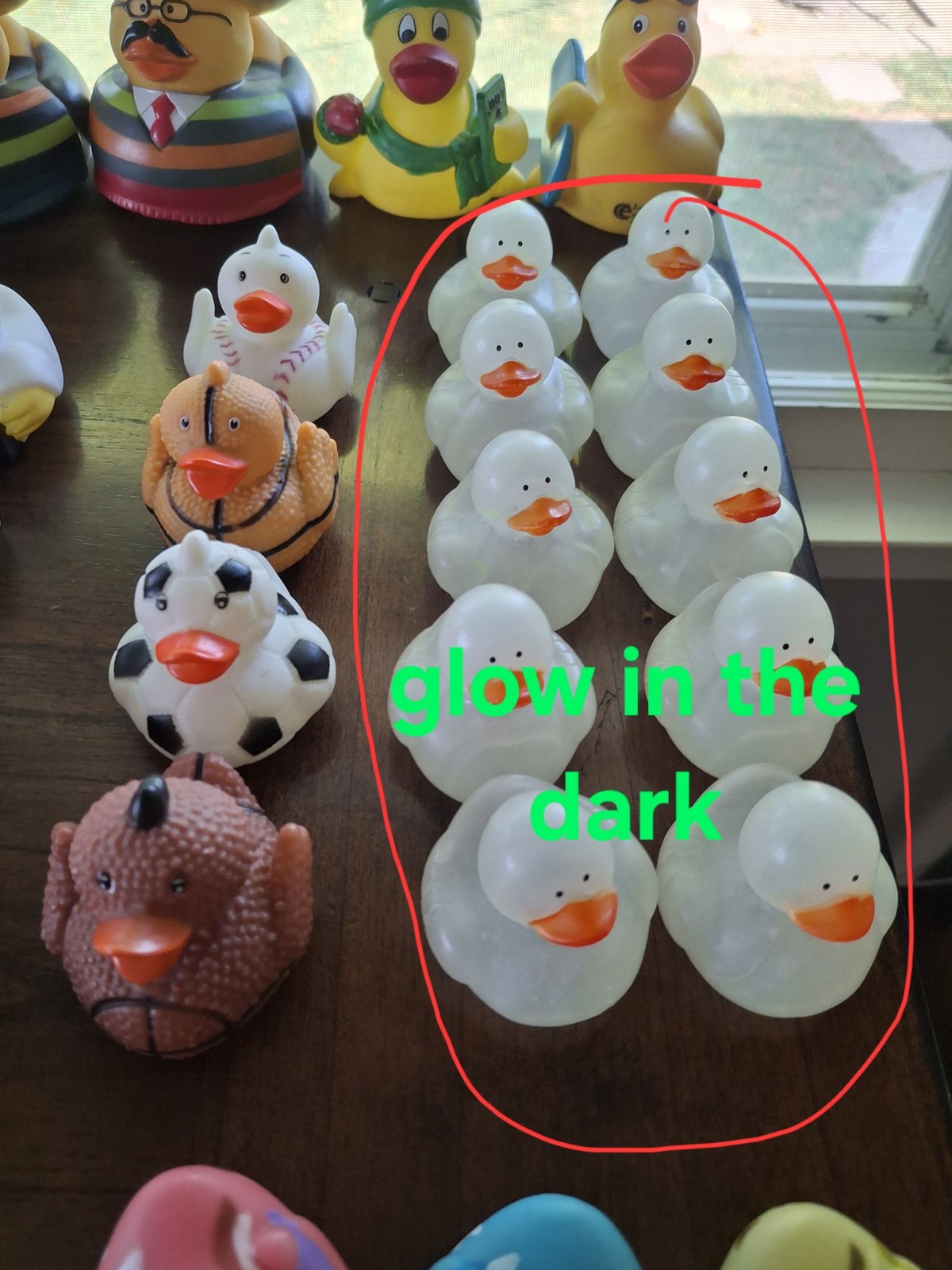 Large Collection (300) of assorted Rubber Ducks for Jeep “Ducking”/Party Favors