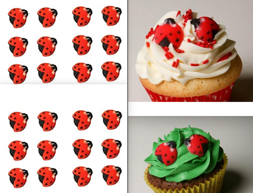 Oasis Supply Set of 24 Edible Sugar Ladybug Toppers for Cakes or Cupcakes