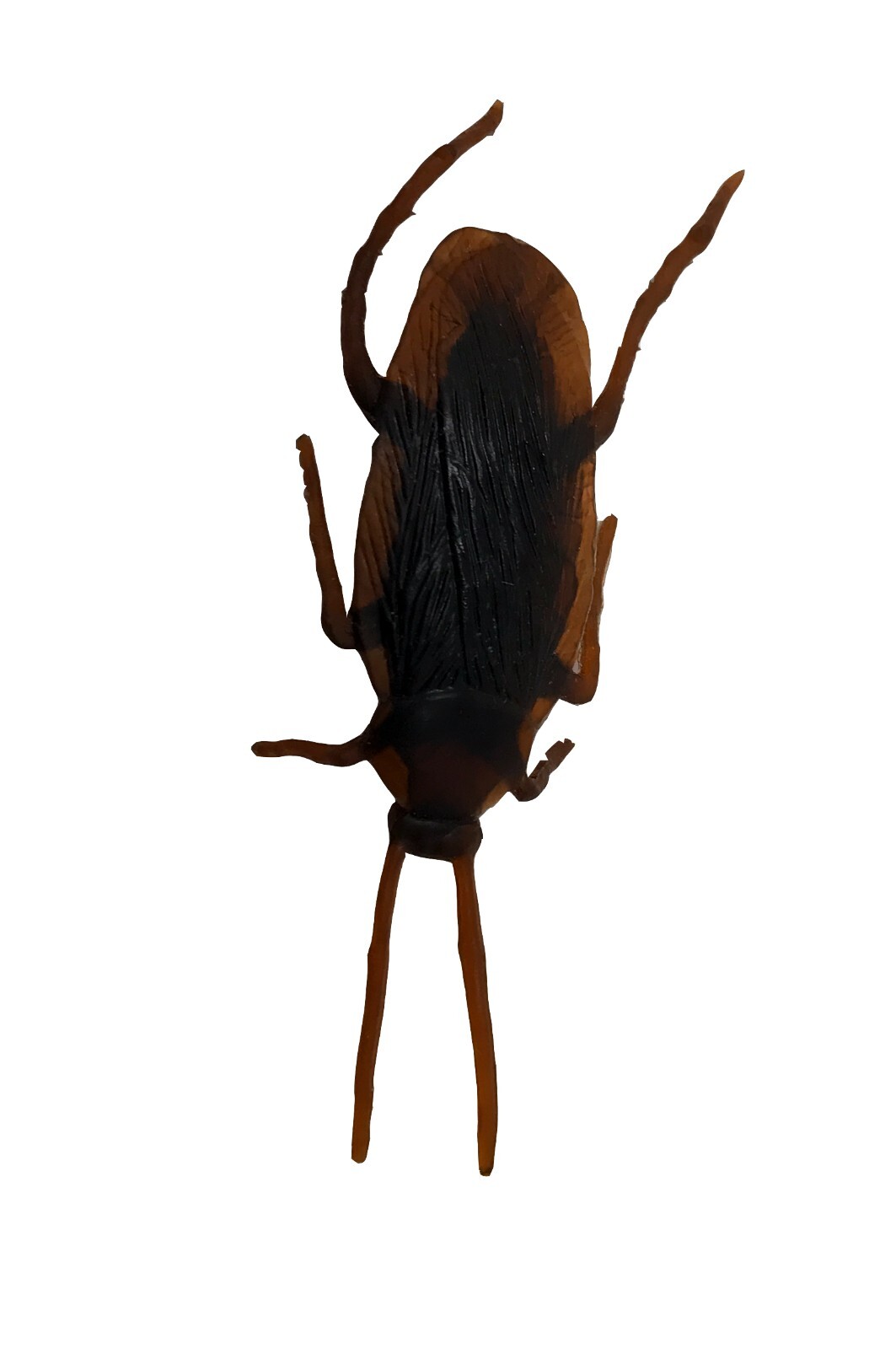 144 Fake Cockroaches-Real Looking Gag Gift Prank-Gross Creepy Freak Your FRIENDS