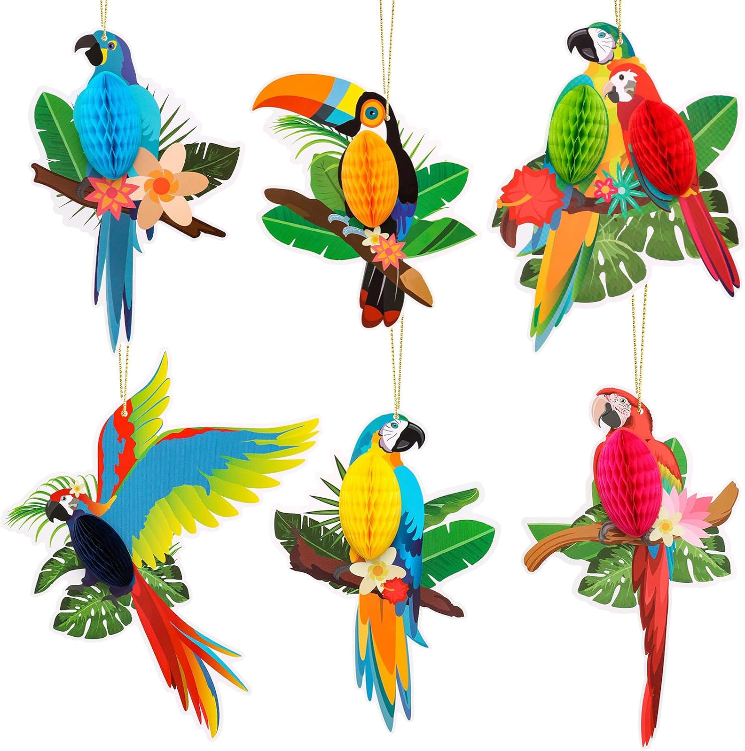 6 Pcs Tropical Birds Honeycombs, Parrot Honeycomb Decorations, Parrot Paper Cuto