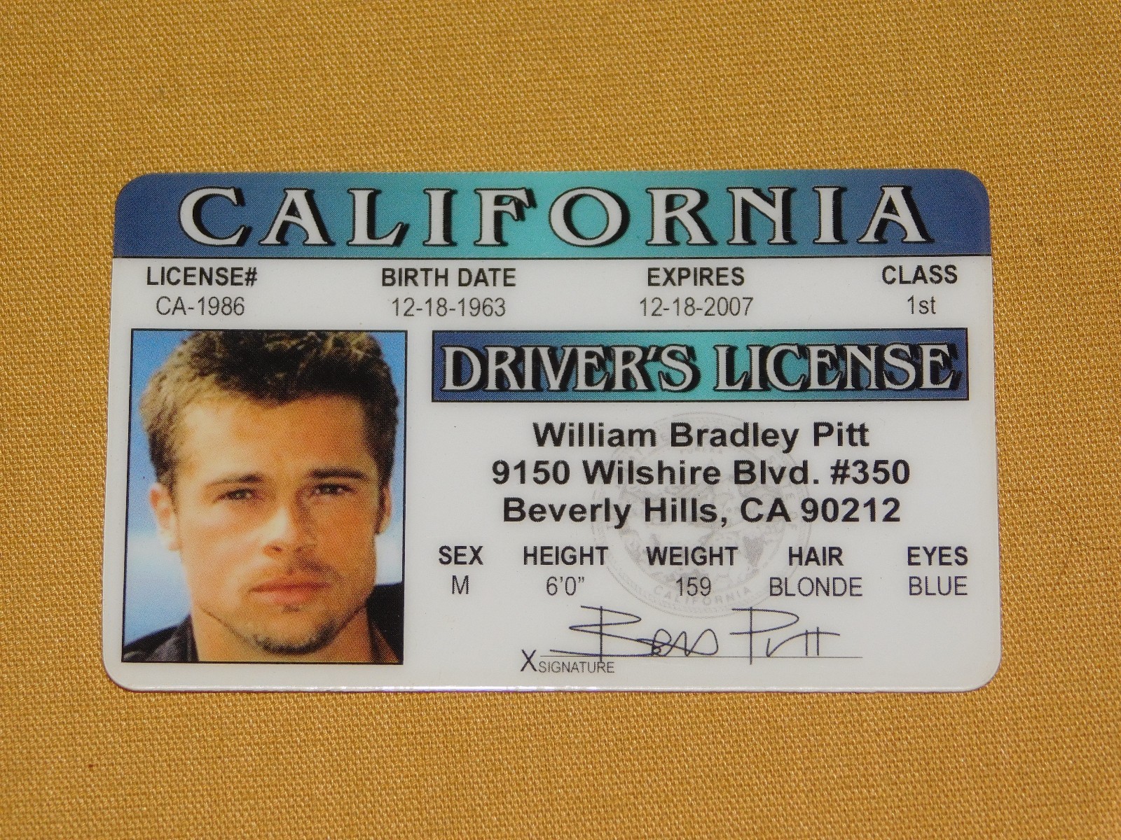 VINTAGE NOVELTY GAG GIFT COOL SOUVENIR BRAD PIT CALIFORNIA DRIVER’S LICENSE