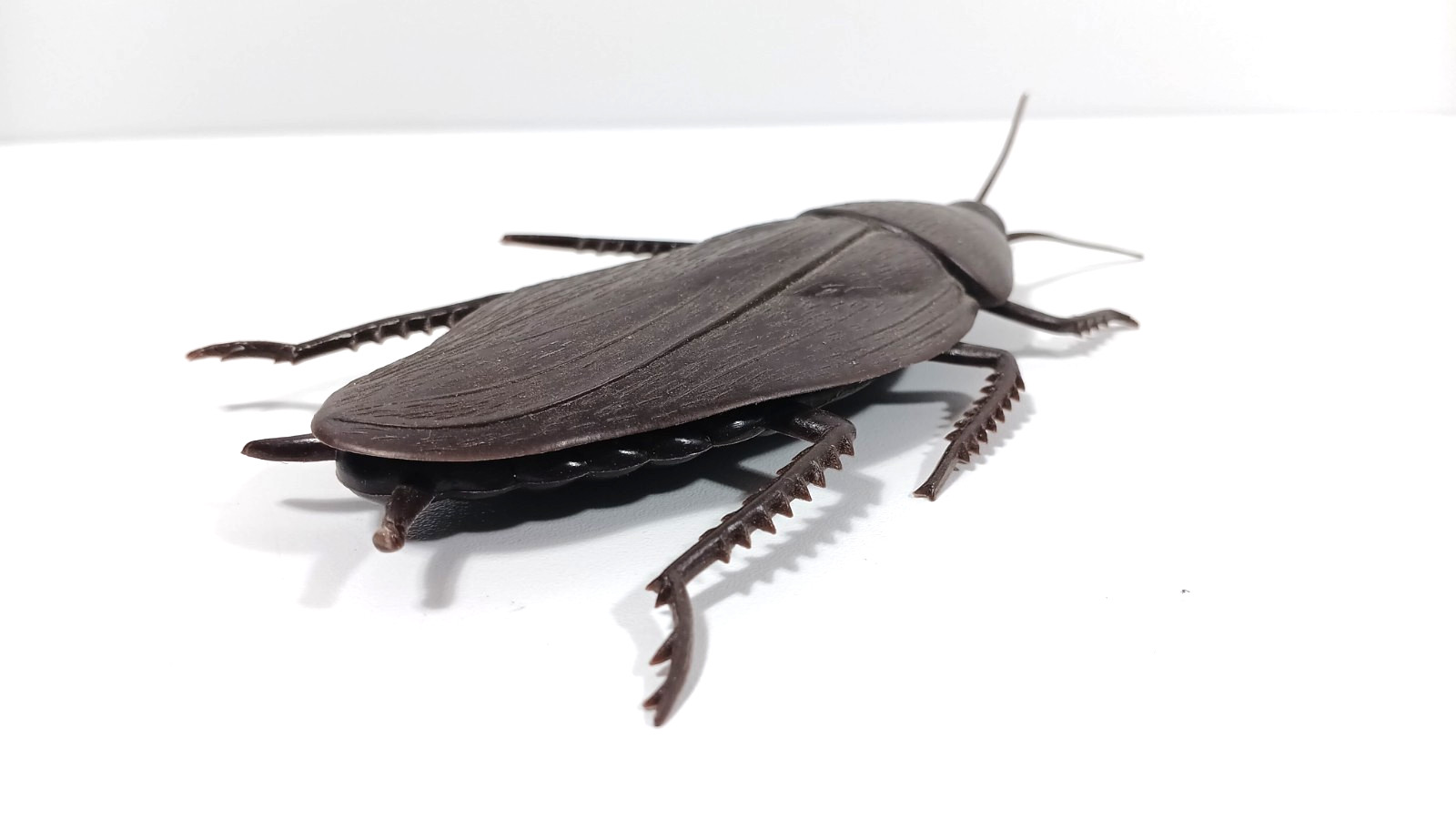 JUMBO COCKROACH 6″ Giant Rubber Fake Bug Prank Joke Gag Funny Roach Halloween