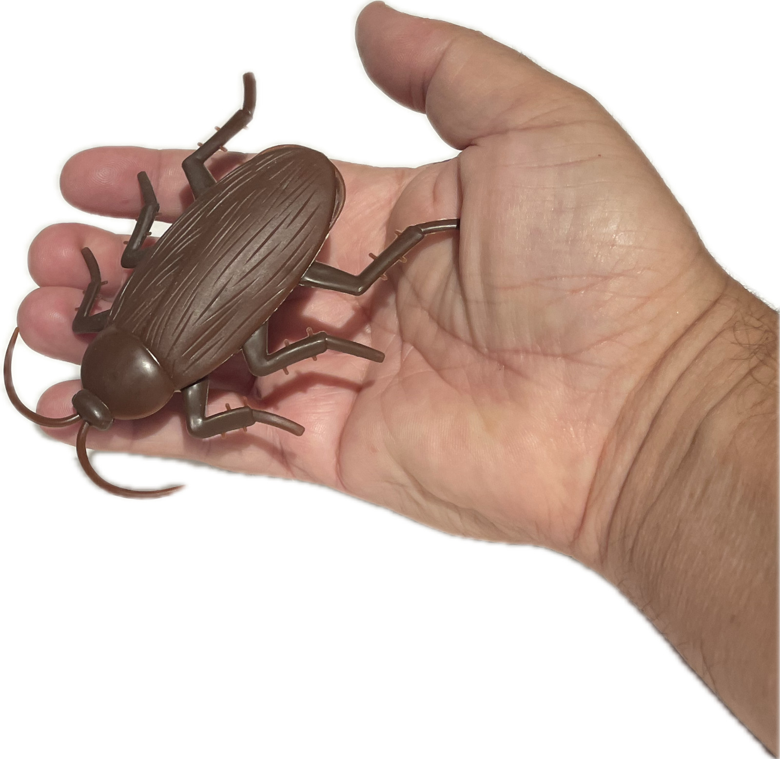 Funny WALKING COCKROACH Jumbo Roach Sticks & Crawls Down Wall Prank Joke Toy Bug