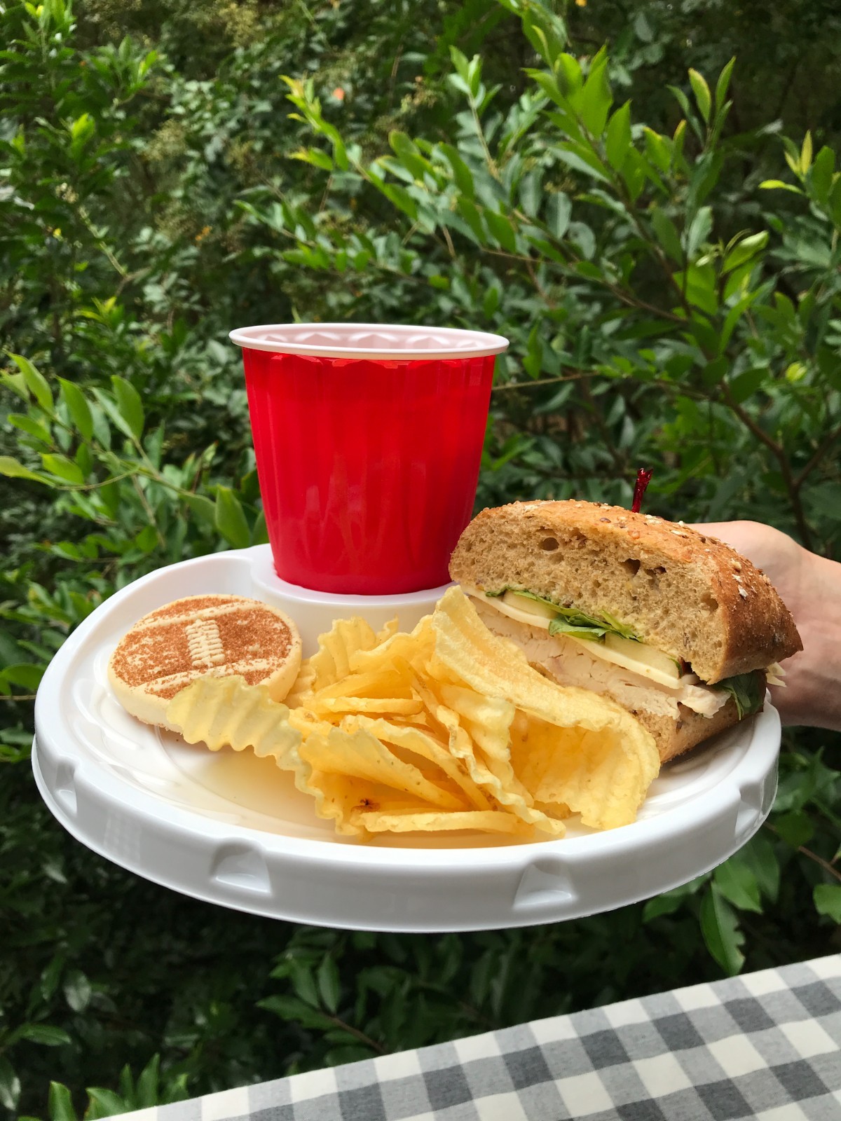 40 Resuable Plates: Eat and Drink with Food and Beverage Together: