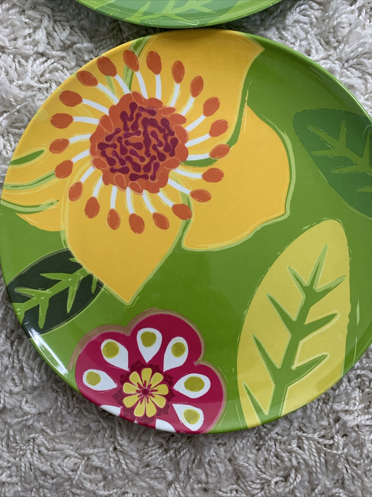 Crate & Barrel (2) Pair Plastic Plates Reusable Dishwasher Safe Indoor Outdoor
