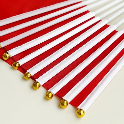 25 Pack Solid Flags – Small Mini DIY DIY Flags – Party Red – Party Red