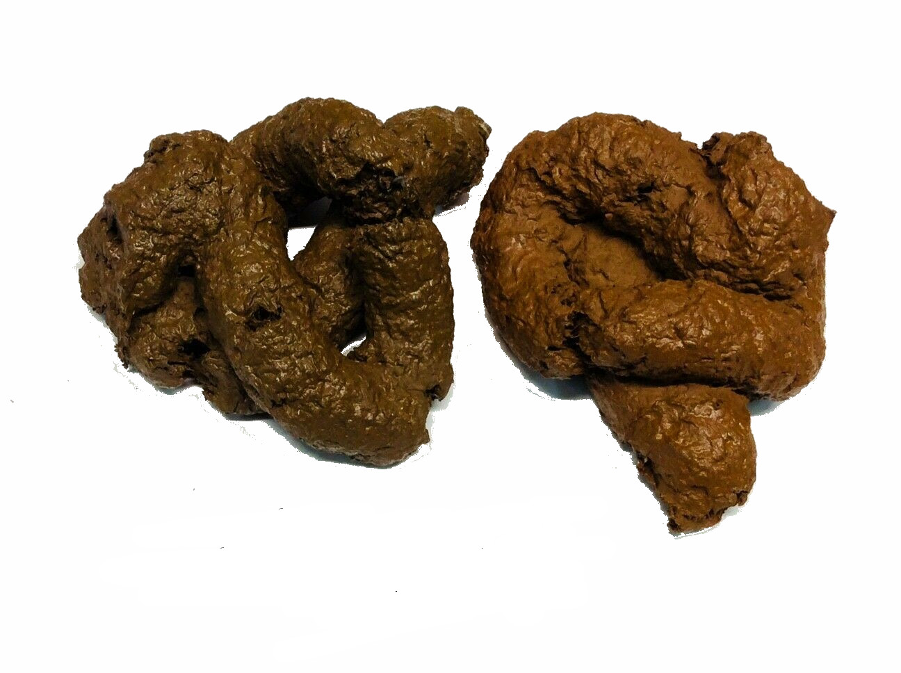 Fake Crap (2) Doggie DOO, Puppy Poop Dog Sh*t, Turd, A real Gags & Tricks!